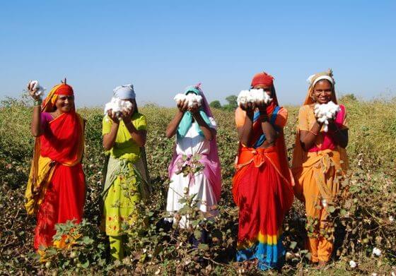 Organic cotton is the basis for sustainable change